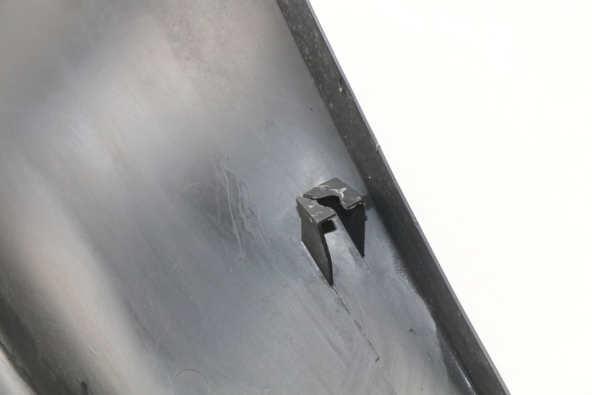 photo de FASCIA INTERNA DAELIM S4 50 (2010 - 2015) - Primo piano tecnico