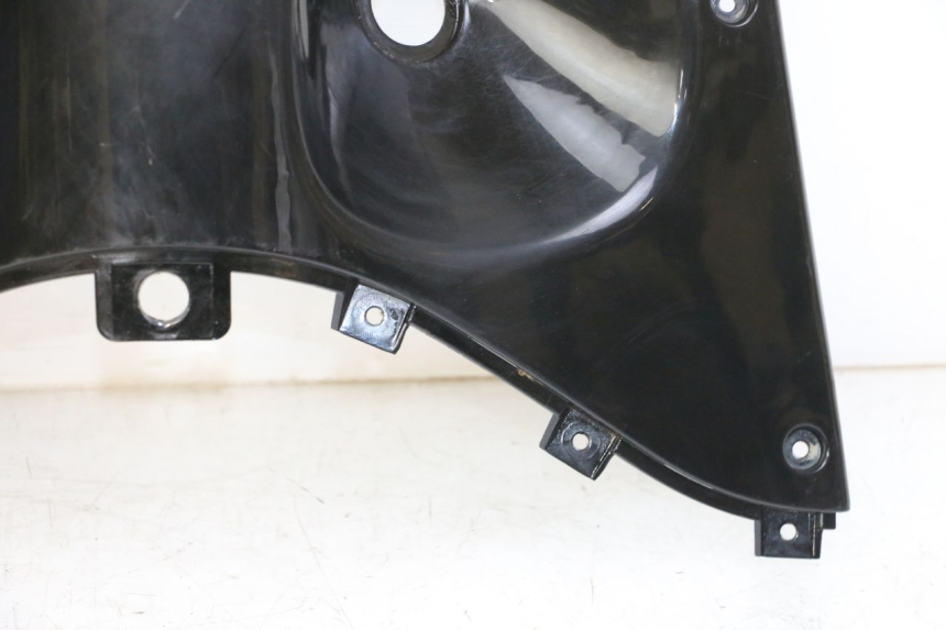 photo de RETROSCUDO SUPERIORE DAELIM BESBI 125 (2007 - 2008) - Ricambio usato controllato