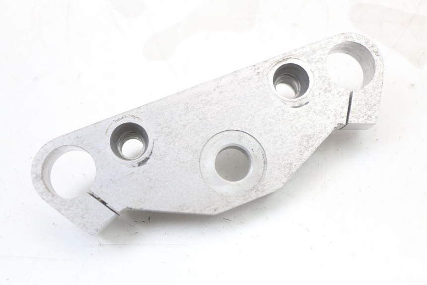 photo de PIASTRA SUPERIORE REGAL RAPTOR RAXTER 2 125 (2007 - 2015) - Altra angolazione