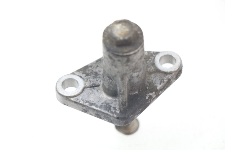 photo de TENDITORE CATENA DI DISTRIBUZIONE PIAGGIO BEVERLY 500 (2003 - 2007) - Dettaglio del componente