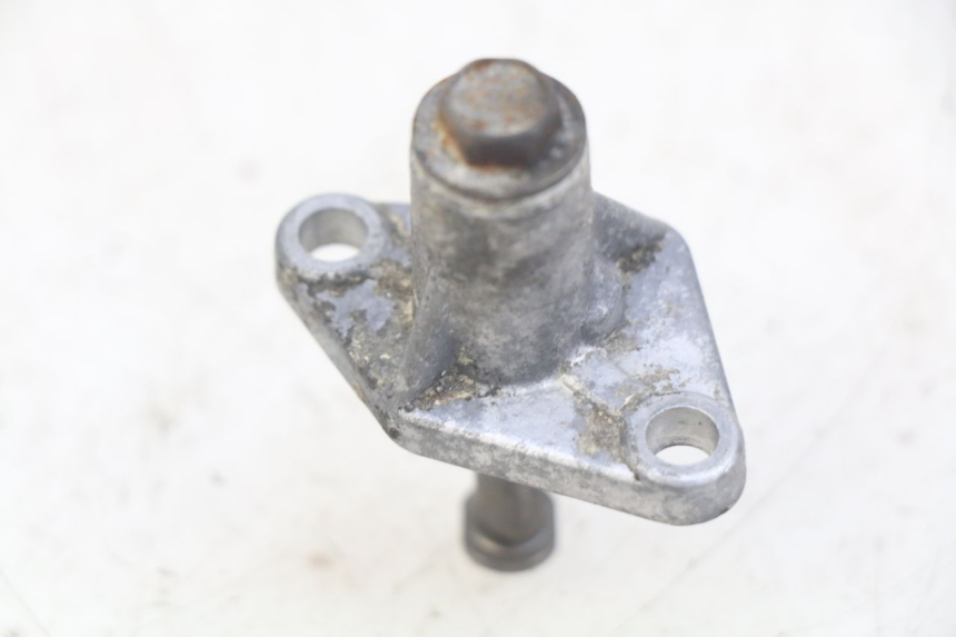 photo de TENDICATENA DISTRIBUTORE PEUGEOT ELYSEO 125 (1999 - 2004) - Dettaglio del componente