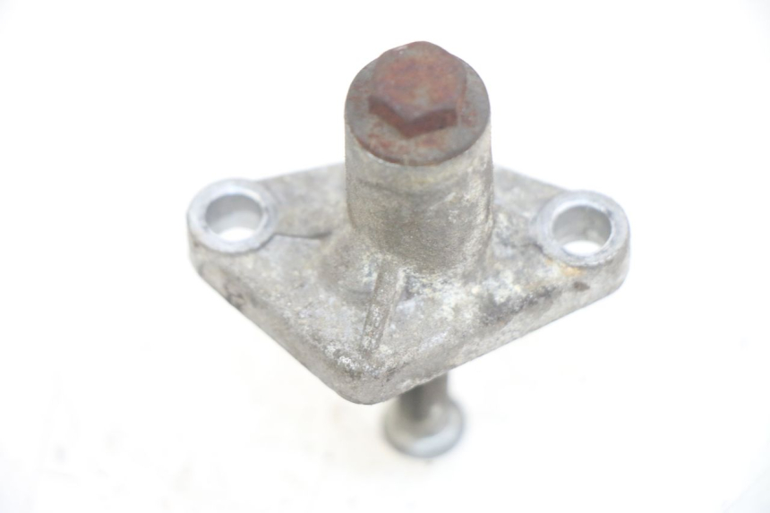 photo de TENDICATENA DISTRIBUTORE TNT MOTOR FASTINO 4T 50 (2013 - 2019) - Dettaglio del componente