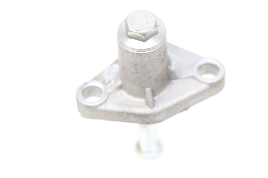 photo de TENDITORE CATENA DI DISTRIBUZIONE TNT MOTOR ROMA 10' 4T 50 (2007 - 2018) - Dettaglio del componente