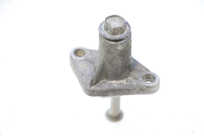 photo de TENDICATENA DISTRIBUTORE PEUGEOT SATELIS 125 (2006 - 2009) - Dettaglio del componente