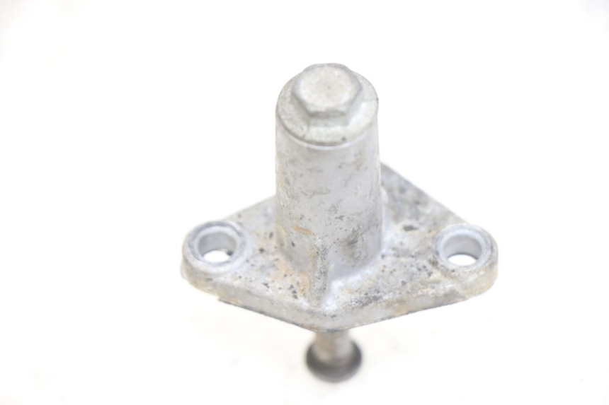 photo de TENDICATENA DI DISTRIBUZIONE YAMAHA X-MAX XMAX 250 (2006 - 2009) - Dettaglio del componente