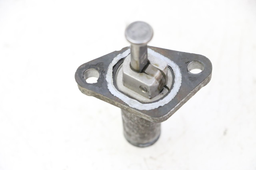 photo de TENDICATENA DI DISTRIBUZIONE YAMAHA X-MAX XMAX 250 (2006 - 2009) - Dettaglio del componente