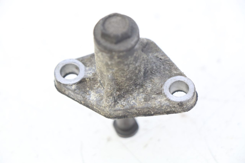 photo de TENDICATENA DISTRIBUTORE PIAGGIO XEVO - X EVO 125 (2007 - 2017) - Dettaglio del componente