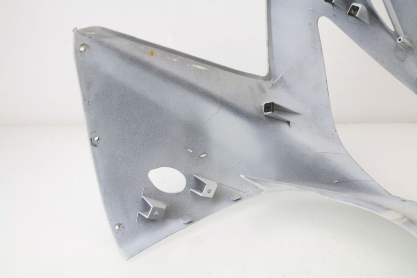 photo de CUPOLINO HONDA CBR 929 RR FIREBLADE 900 (2000 - 2001) - Caratteristiche distintive