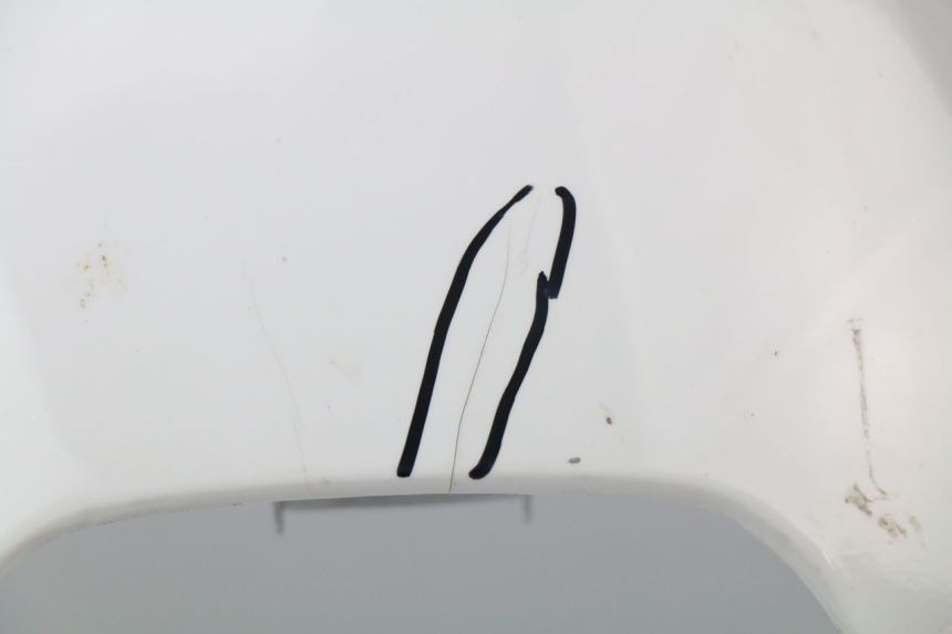 photo de CUPOLINO HONDA CBR 929 RR FIREBLADE 900 (2000 - 2001) - Primo piano tecnico