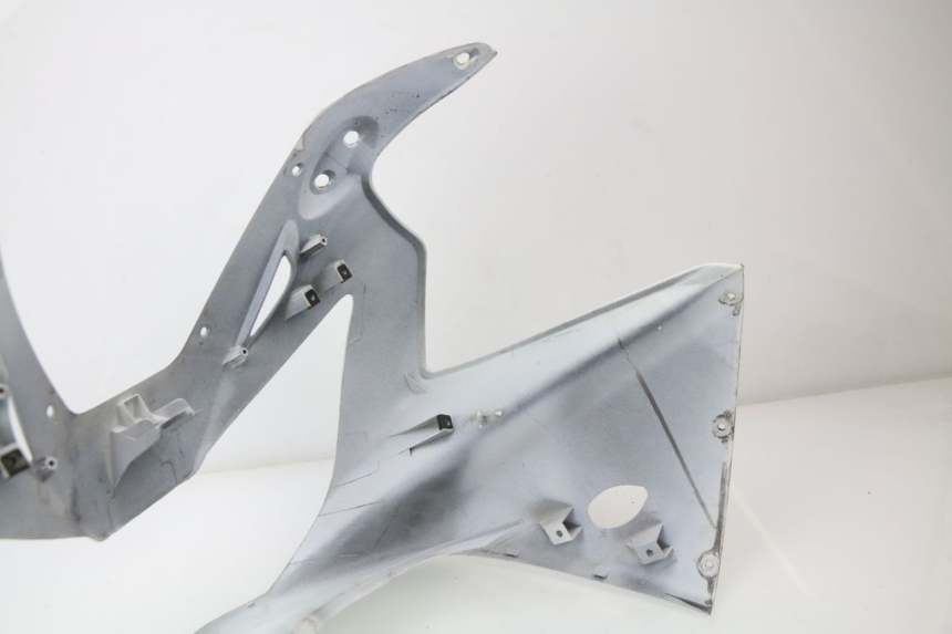 photo de CUPOLINO HONDA CBR 929 RR FIREBLADE 900 (2000 - 2001) - Marcature e riferimenti originali