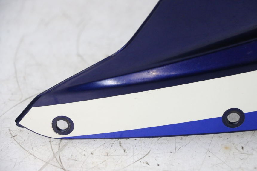 photo de CUPOLINO SUZUKI GSXR GSX-R 1000 (2003 - 2004) - Zoom qualità usato