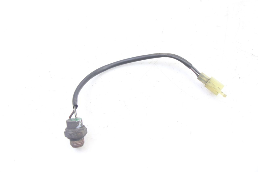 photo de THERMOCONTACT SUZUKI BURGMAN 125 (2007 - 2014) - Vista principale