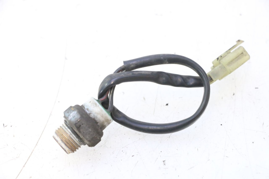 photo de THERMOCONTACT SUZUKI BURGMAN 125 (2007 - 2014) - Vista principale