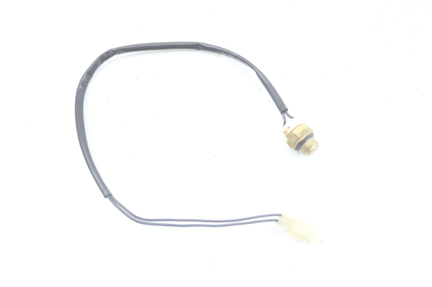 photo de TERMOCONTATTO REGAL RAPTOR RAXTER 2 125 (2007 - 2015) - Vista principale