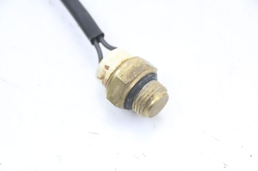 photo de TERMOCONTATTO REGAL RAPTOR RAXTER 2 125 (2007 - 2015) - Dettaglio del componente