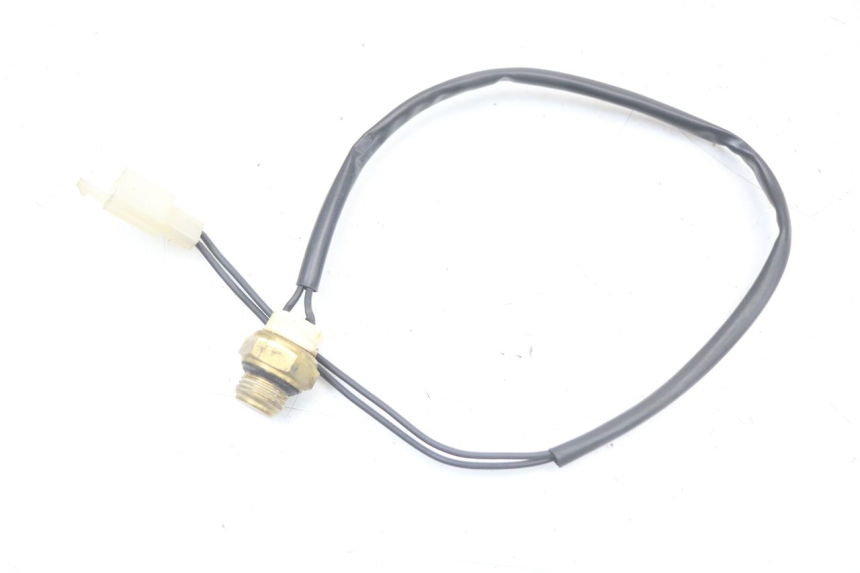 photo de TERMOCONTATTO REGAL RAPTOR RAXTER 2 125 (2007 - 2015) - Zoom sullo stato d'uso