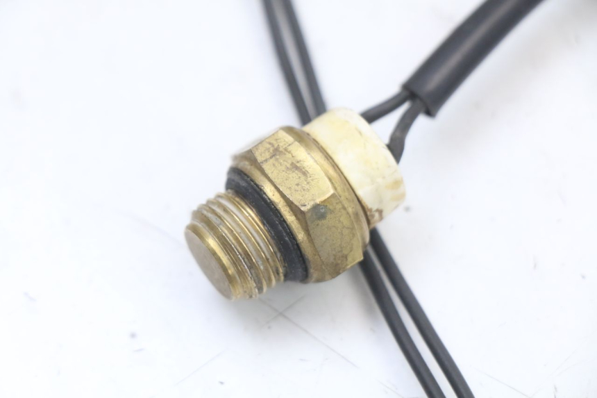 photo de TERMOCONTATTO REGAL RAPTOR RAXTER 2 125 (2007 - 2015) - Altra angolazione