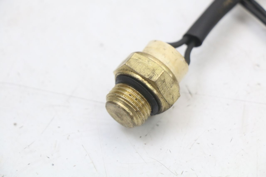 photo de TERMOCONTATTO REGAL RAPTOR SPYDER 125 (2010 - 2018) - Dettaglio del componente