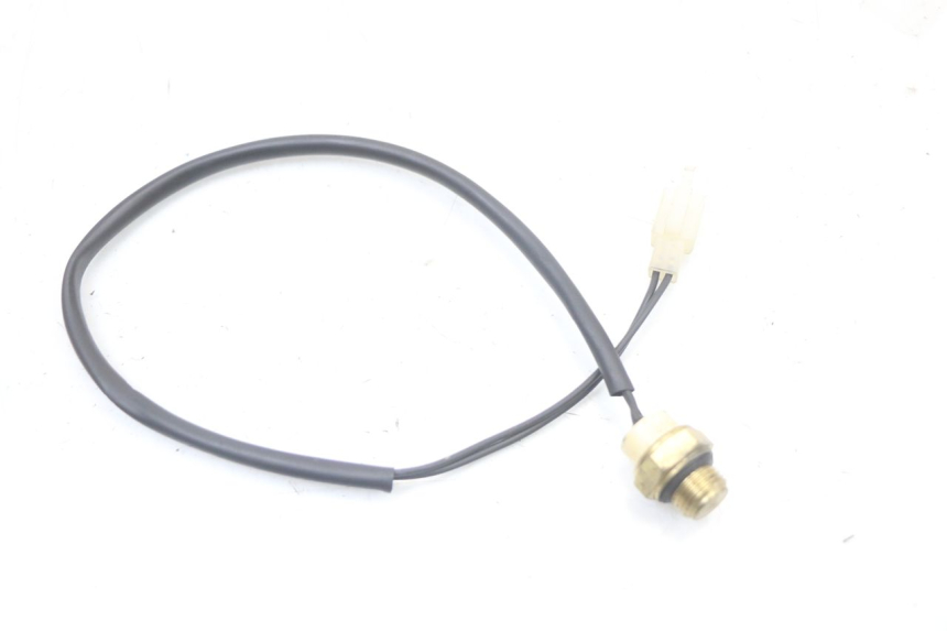 photo de TERMOCONTATTO REGAL RAPTOR SPYDER 125 (2010 - 2018) - Zoom sullo stato d'uso