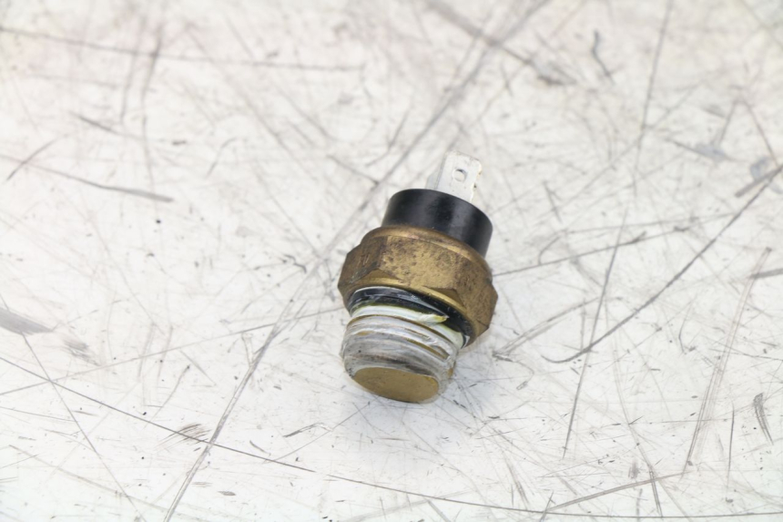 photo de THERMOCONTACT PEUGEOT SATELIS 125 (2010 - 2012) - Dettaglio del componente