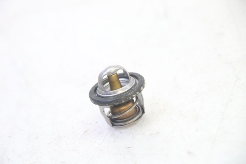 photo de THERMOSTAT SUZUKI BURGMAN 125 (2007 - 2014) - Vista principale