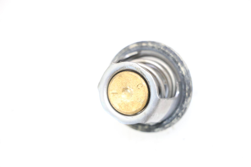 photo de THERMOSTAT SUZUKI BURGMAN 125 (2007 - 2014) - Dettaglio del componente