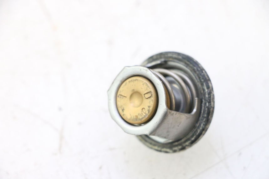 photo de THERMOSTAT SUZUKI BURGMAN 125 (2007 - 2014) - Zoom sullo stato d'uso