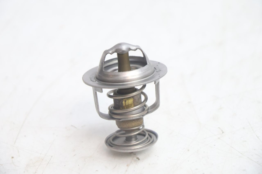 photo de TERMOSTATO  HONDA FJS SILVER WING SILVERWING 400 (2005 - 2008) - Zoom sullo stato d'uso