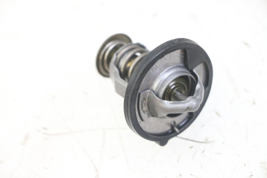 photo de TERMOSTATO  HONDA FORZA ABS 300 (2013 - 2017) - Dettaglio del componente