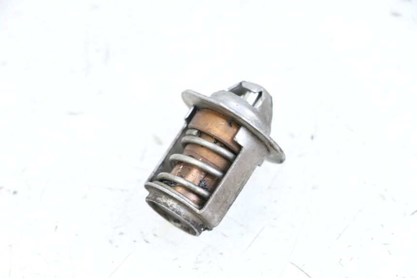 photo de TERMOSTATO  NECO GPX LC 2T 50 (2014 - 2018) - Vista principale