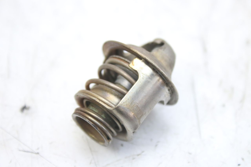 photo de THERMOSTAT PIAGGIO MP3 RL 250 (2006 - 2010) - Vista principale