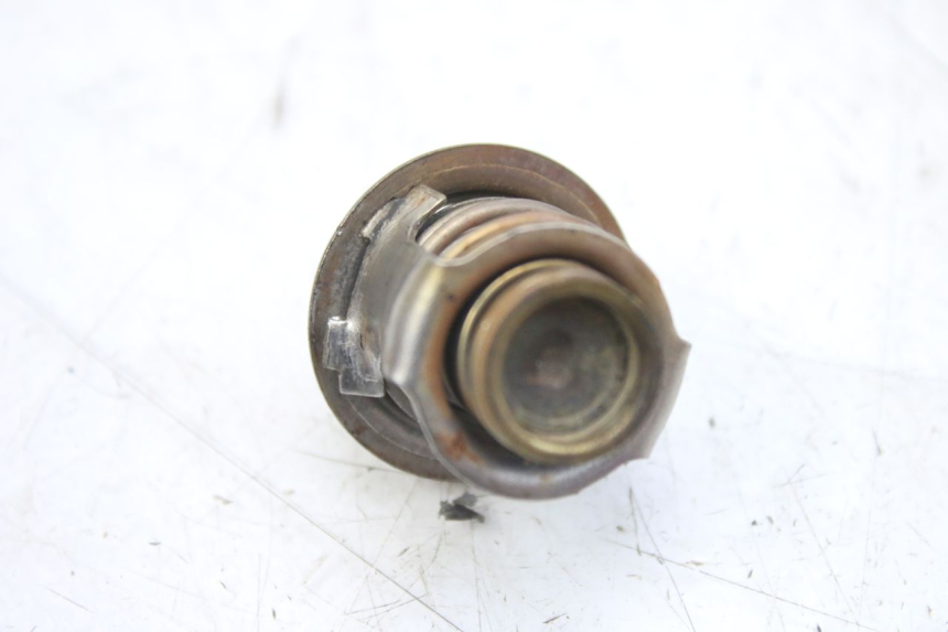 photo de THERMOSTAT PIAGGIO MP3 RL 250 (2006 - 2010) - Dettaglio del componente