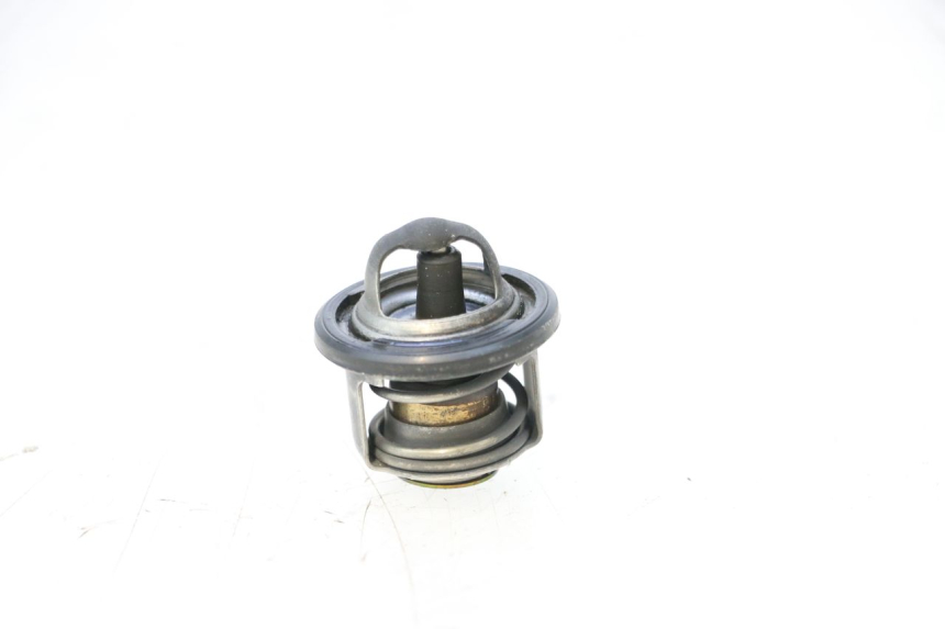 photo de TERMOSTATO  PIAGGIO MP3 125 (2006 - 2014) - Vista principale