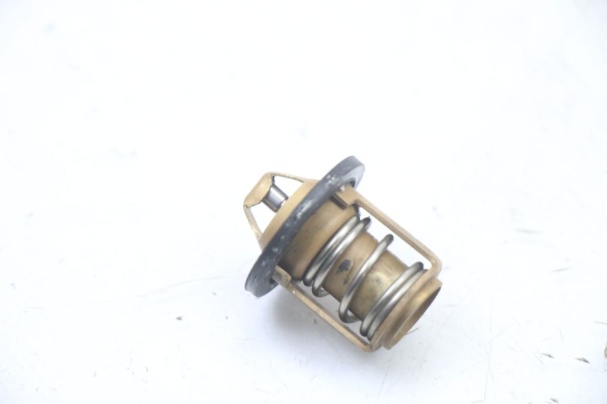 photo de TERMOSTATO  PEUGEOT SPEEDFIGHT 3 LC 2T 50 (2009 - 2015) - Vista principale