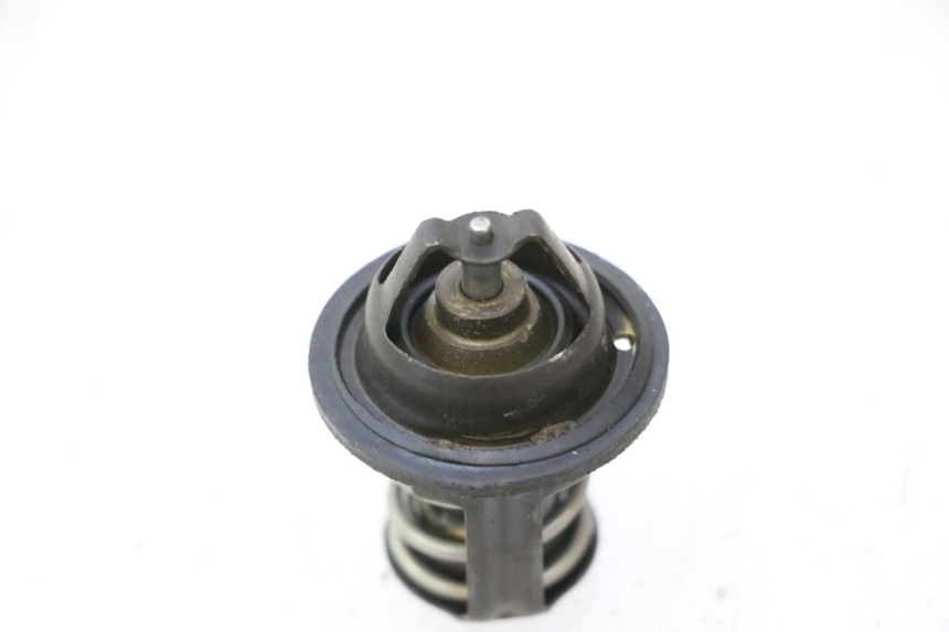 photo de THERMOSTAT PEUGEOT SATELIS 125 (2006 - 2009) - Zoom sullo stato d'uso