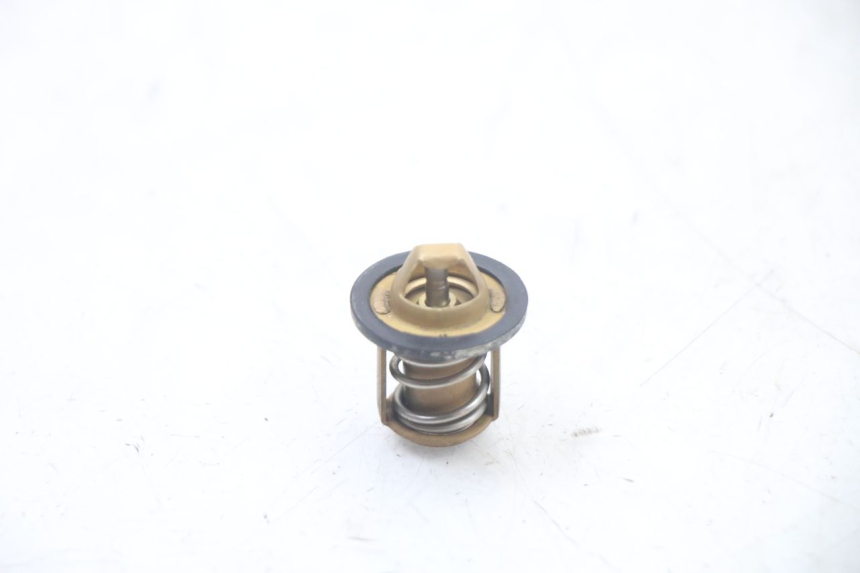 photo de TERMOSTATO  PEUGEOT SPEEDFIGHT 3 LC 2T 50 (2009 - 2015) - Zoom sullo stato d'uso