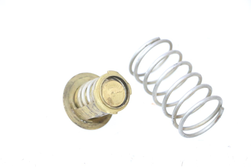 photo de TERMOSTATO  PEUGEOT SPEEDFIGHT LC 50 (1996 - 2002) - Dettaglio del componente