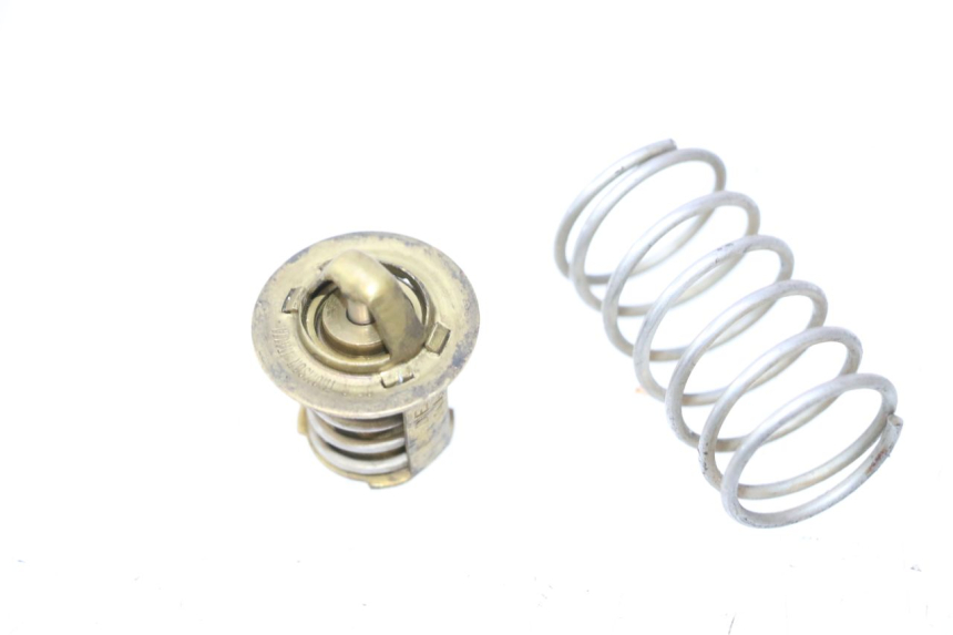 photo de TERMOSTATO  PEUGEOT SPEEDFIGHT LC 50 (1996 - 2002) - Zoom sullo stato d'uso