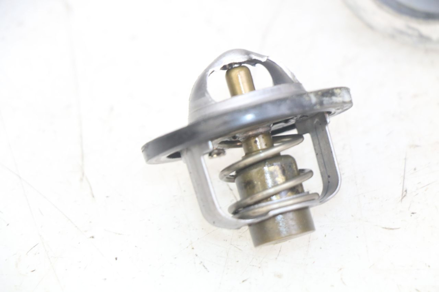 photo de THERMOSTAT SUZUKI SV N 650 (1999 - 2002) - Vista d'insieme del prodotto