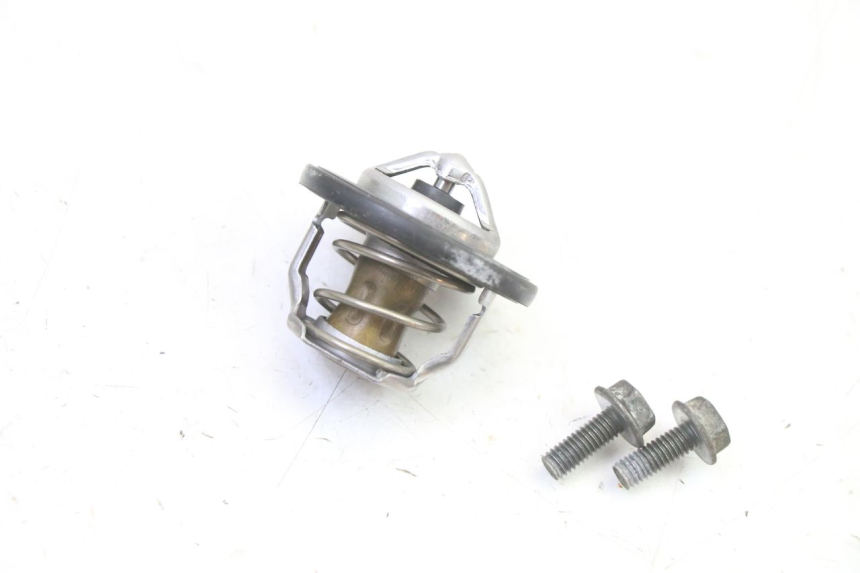 photo de Termostato SUZUKI SV S 650 (2003 - 2009) - Primo piano tecnico