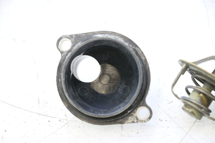 photo de TERMOSTATO  YAMAHA TDM ABS 900 (2002 - 2014) - Dettaglio del componente