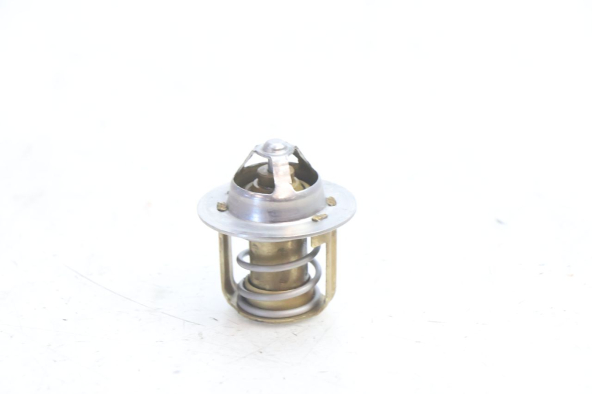 photo de TERMOSTATO  HUSABERG TE 250 (2011 - 2014) - Vista principale