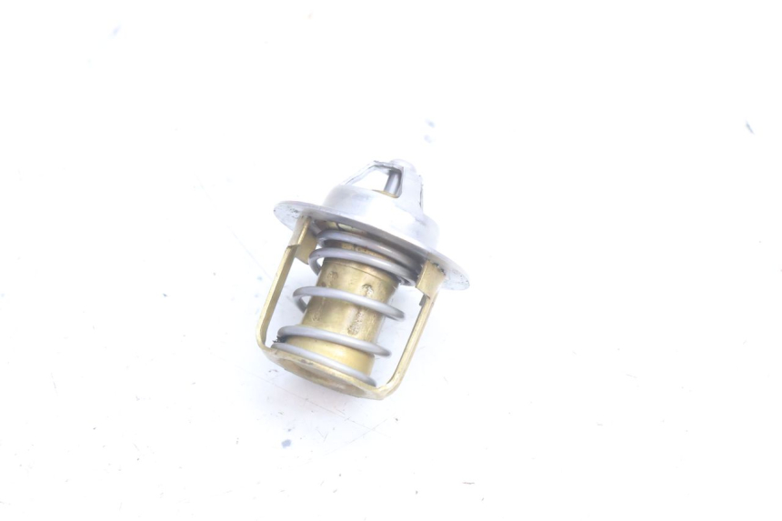 photo de TERMOSTATO  HUSABERG TE 250 (2011 - 2014) - Dettaglio del componente