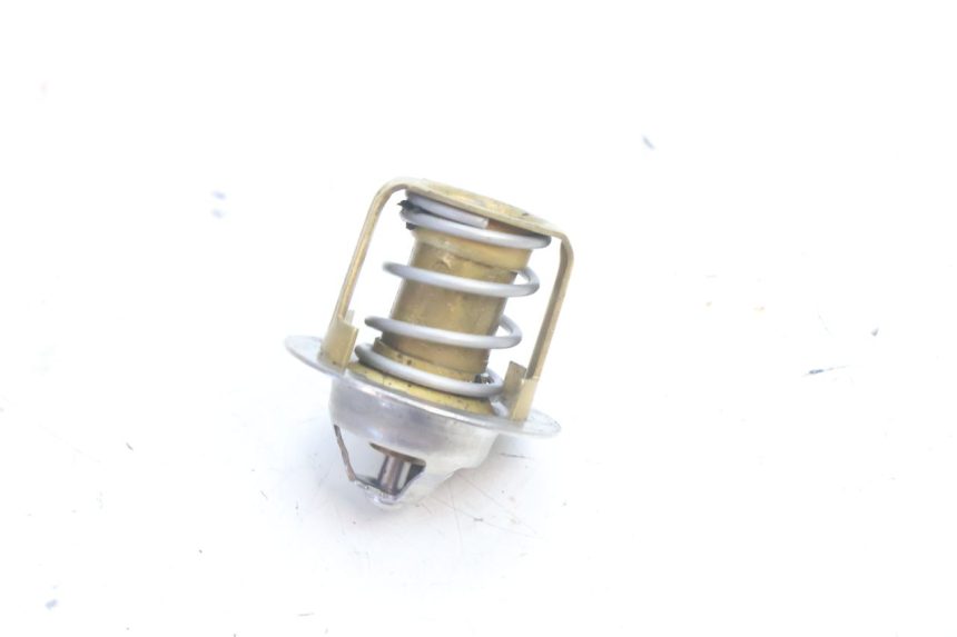 photo de TERMOSTATO  HUSABERG TE 250 (2011 - 2014) - Altra angolazione