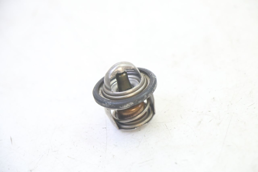 photo de TERMOSTATO  YAMAHA X-MAX XMAX 125 (2010 - 2013) - Vista principale