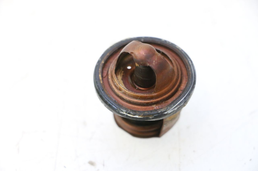 photo de TERMOSTATO  YAMAHA XMAX X-MAX 125 (2006 - 2009) - Altra angolazione
