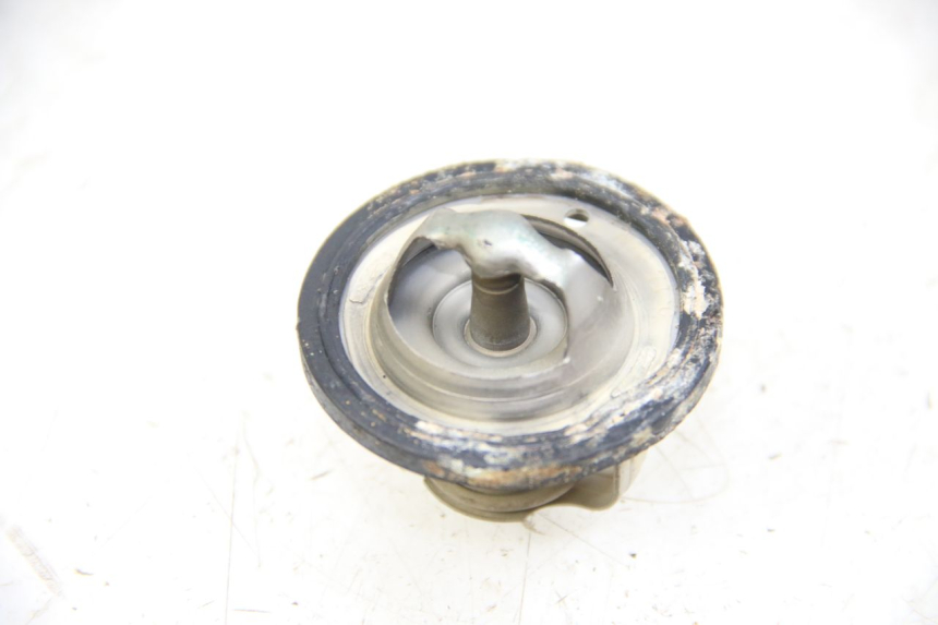 photo de TERMOSTATO  YAMAHA XP T-MAX TMAX 500 (2004 - 2007) - Zoom sullo stato d'uso