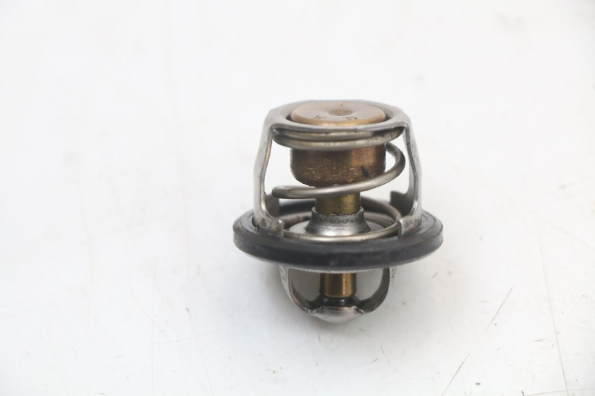 photo de TERMOSTATO  YAMAHA YP MAJESTY 125 (2002 - 2006) - Zoom sullo stato d'uso