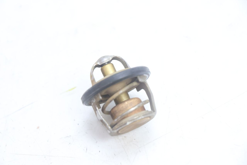 photo de TERMOSTATO  YAMAHA YP MAJESTY 125 (2002 - 2006) - Vista principale
