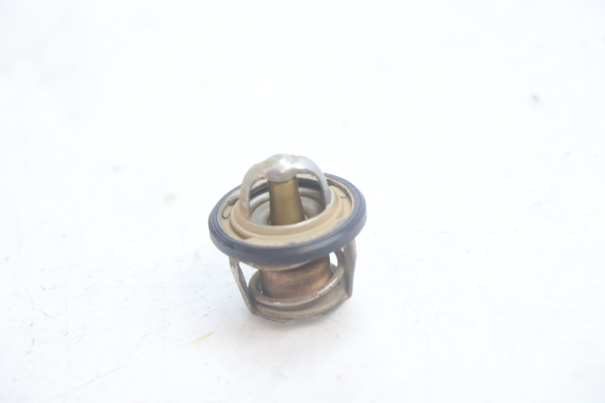 photo de TERMOSTATO  YAMAHA YP MAJESTY 125 (2002 - 2006) - Dettaglio del componente